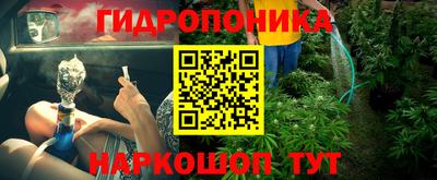 дмт Краснодар
