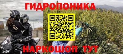 дмт Краснодар