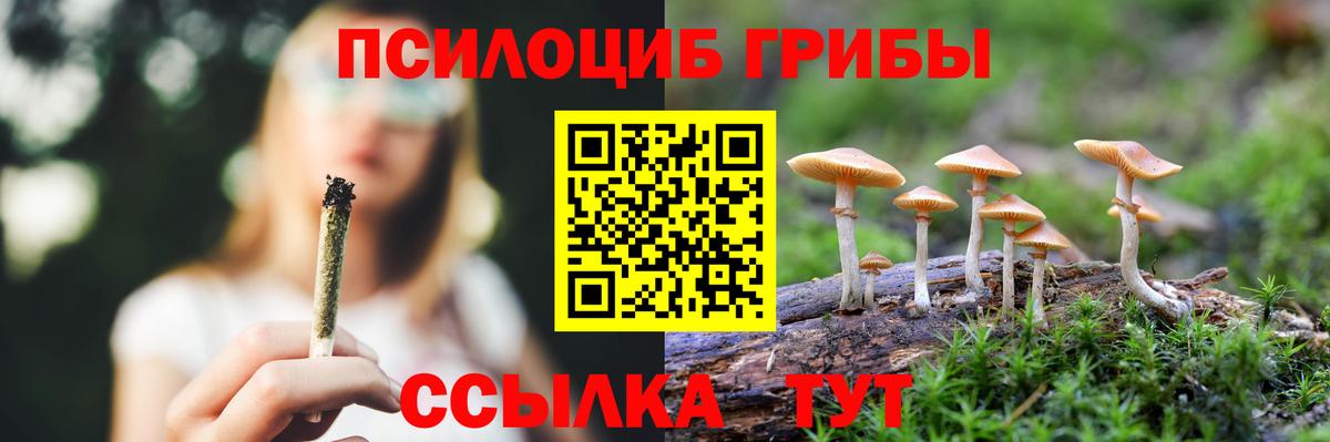 Галлюциногенные грибы мицелий  Галлюциногенные грибы GOLDEN TEACHER  Азов  Вход с VPN 